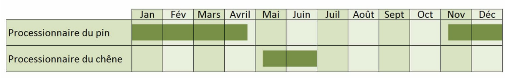 chenilles processionnaires calendrier