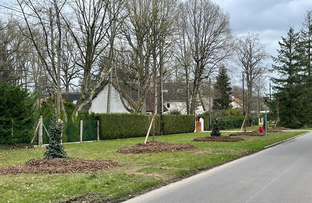 Le Printemps de nos arbres : aider les à bien grandir…